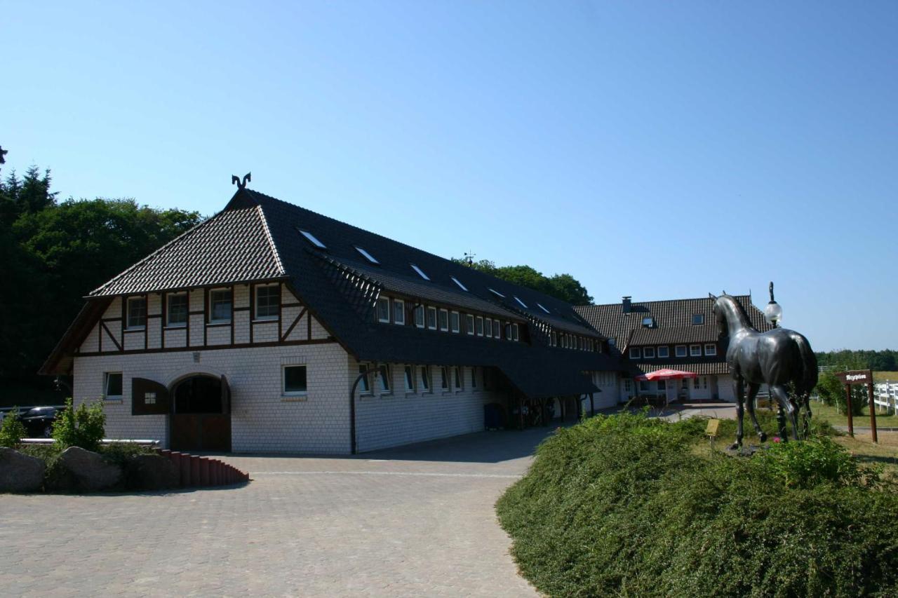 Stoertebeker Appartements - "Stoertebeker Pferdehof" Ralswiek Exterior foto